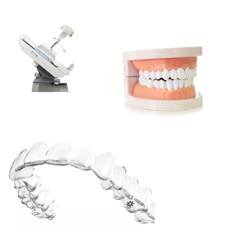 Dental injection moulding die