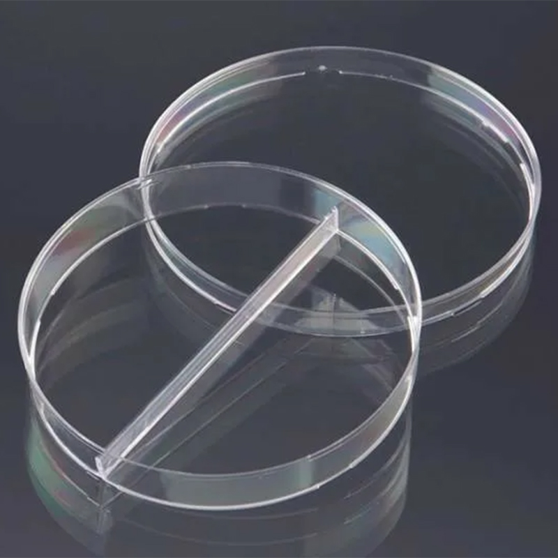 Pmma plastic mold